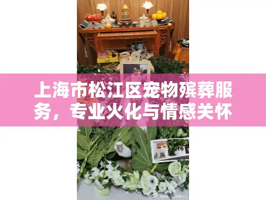 上海市松江区宠物殡葬服务，专业火化与情感关怀如何安心选择？