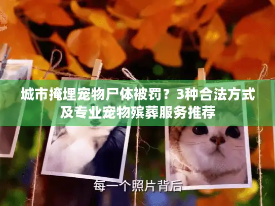 城市掩埋宠物尸体被罚？3种合法方式及专业宠物殡葬服务推荐
