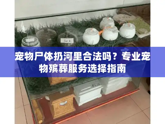 宠物尸体扔河里合法吗？专业宠物殡葬服务选择指南