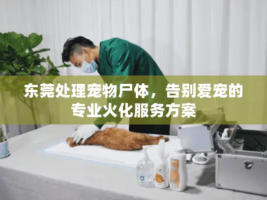 东莞处理宠物尸体，告别爱宠的专业火化服务方案