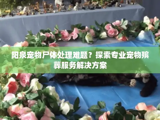阳泉宠物尸体处理难题？探索专业宠物殡葬服务解决方案