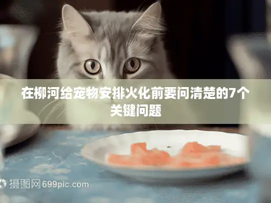 在柳河给宠物安排火化前要问清楚的7个关键问题