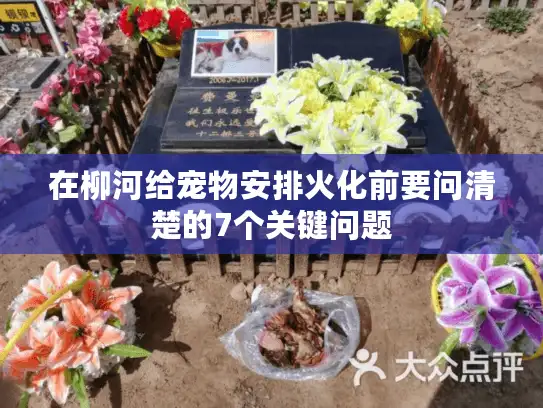 在柳河给宠物安排火化前要问清楚的7个关键问题
