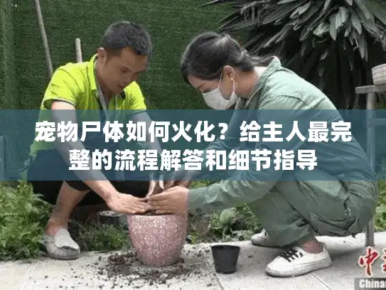 宠物尸体如何火化？给主人最完整的流程解答和细节指导