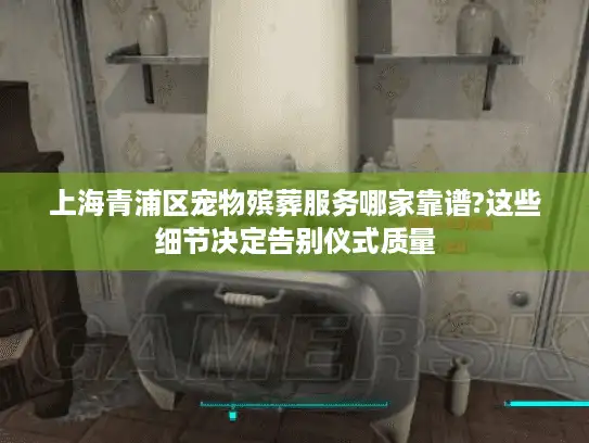 上海青浦区宠物殡葬服务哪家靠谱?这些细节决定告别仪式质量