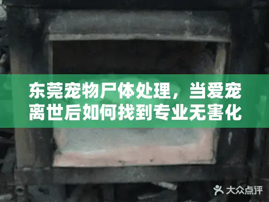 东莞宠物尸体处理，当爱宠离世后如何找到专业无害化解决方案