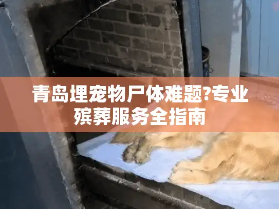 青岛埋宠物尸体难题?专业殡葬服务全指南