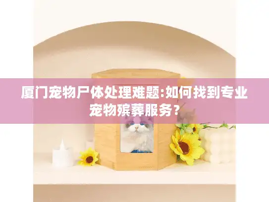 厦门宠物尸体处理难题:如何找到专业宠物殡葬服务？
