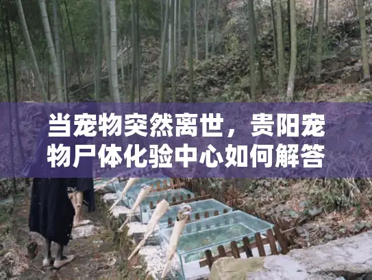 当宠物突然离世，贵阳宠物尸体化验中心如何解答您的疑惑？