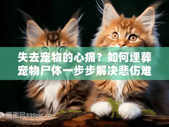 失去宠物的心痛？如何埋葬宠物尸体一步步解决悲伤难题