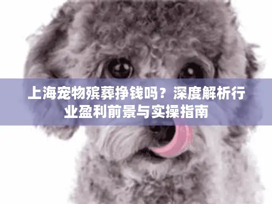 上海宠物殡葬挣钱吗？深度解析行业盈利前景与实操指南
