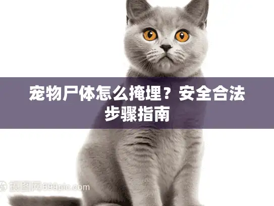 宠物尸体怎么掩埋？安全合法步骤指南