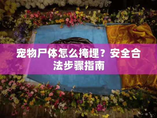 宠物尸体怎么掩埋？安全合法步骤指南