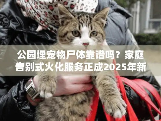 公园埋宠物尸体靠谱吗？家庭告别式火化服务正成2025年新选择