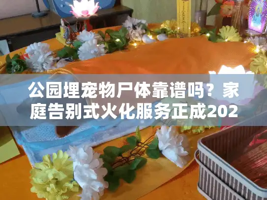 公园埋宠物尸体靠谱吗？家庭告别式火化服务正成2025年新选择