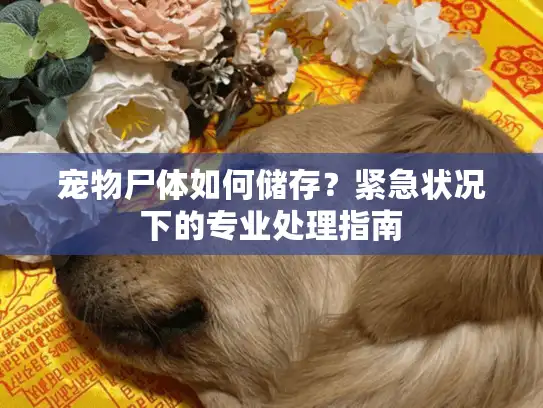 宠物尸体如何储存？紧急状况下的专业处理指南