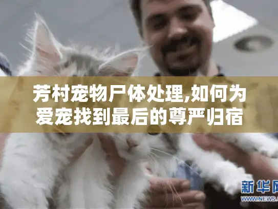 芳村宠物尸体处理,如何为爱宠找到最后的尊严归宿?