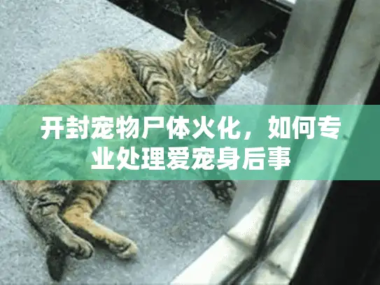开封宠物尸体火化，如何专业处理爱宠身后事