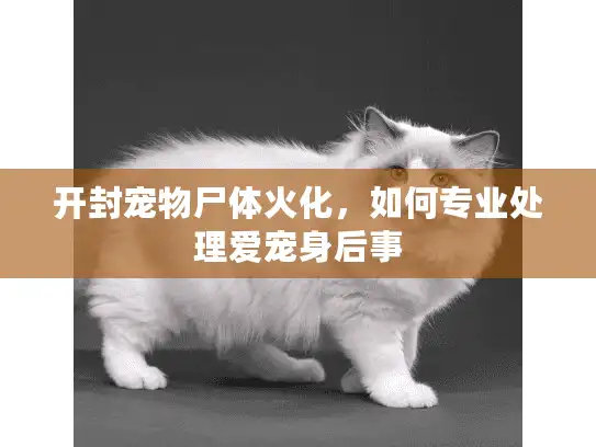 开封宠物尸体火化，如何专业处理爱宠身后事