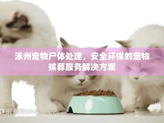 涿州宠物尸体处理，安全环保的宠物殡葬服务解决方案