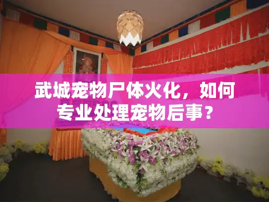 武城宠物尸体火化，如何专业处理宠物后事？