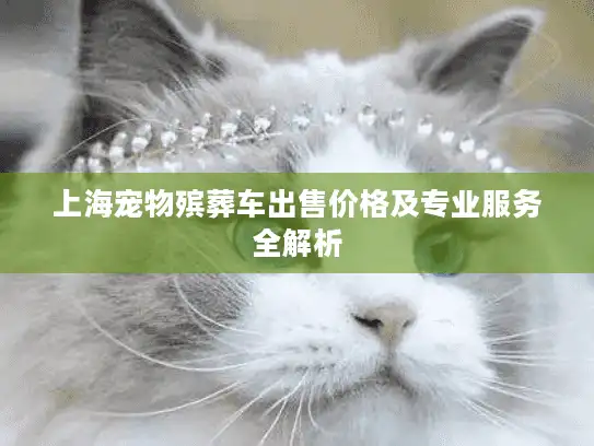 上海宠物殡葬车出售价格及专业服务全解析