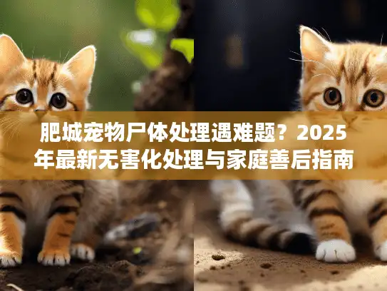 肥城宠物尸体处理遇难题？2025年最新无害化处理与家庭善后指南
