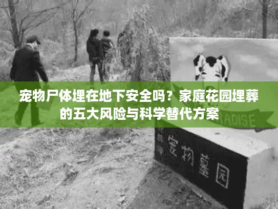 宠物尸体埋在地下安全吗？家庭花园埋葬的五大风险与科学替代方案