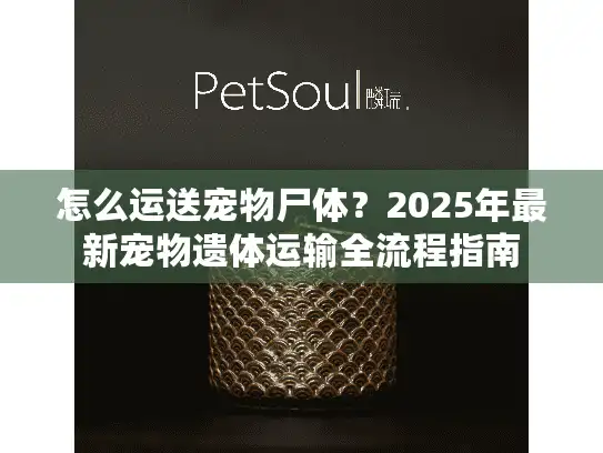 怎么运送宠物尸体？2025年最新宠物遗体运输全流程指南