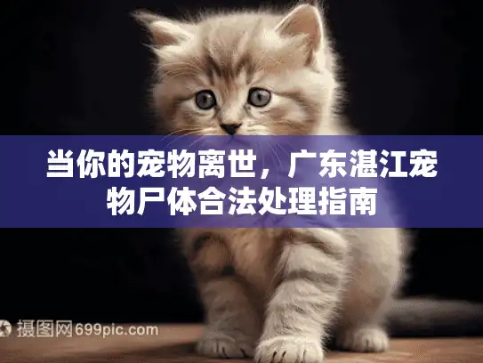 当你的宠物离世，广东湛江宠物尸体合法处理指南