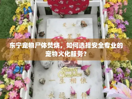 东宁宠物尸体焚烧，如何选择安全专业的宠物火化服务？