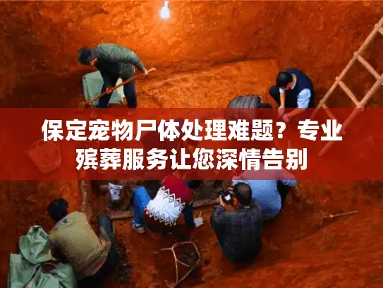 保定宠物尸体处理难题？专业殡葬服务让您深情告别