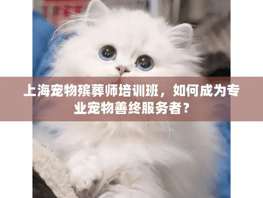 上海宠物殡葬师培训班，如何成为专业宠物善终服务者？