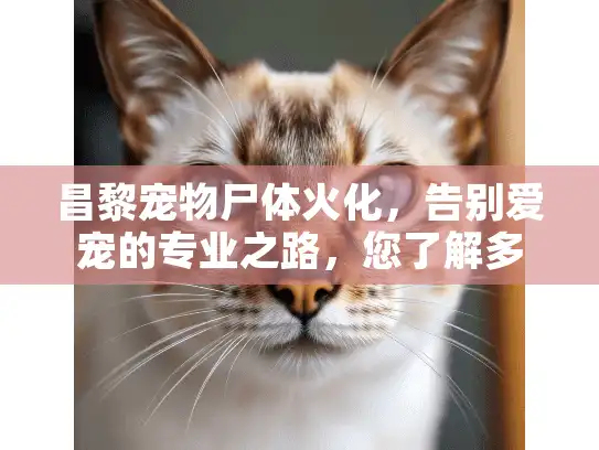 昌黎宠物尸体火化，告别爱宠的专业之路，您了解多少？