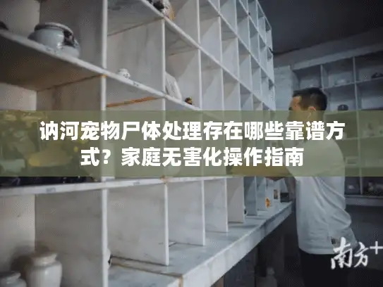讷河宠物尸体处理存在哪些靠谱方式？家庭无害化操作指南