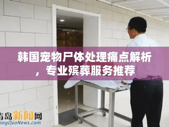 韩国宠物尸体处理痛点解析，专业殡葬服务推荐