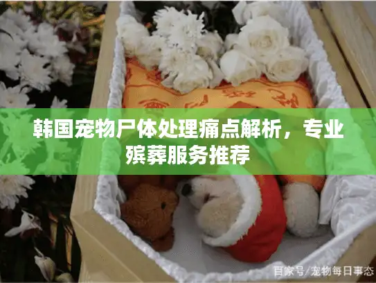 韩国宠物尸体处理痛点解析，专业殡葬服务推荐