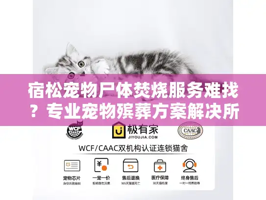 宿松宠物尸体焚烧服务难找？专业宠物殡葬方案解决所有困扰