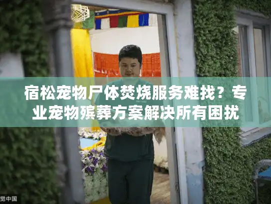 宿松宠物尸体焚烧服务难找？专业宠物殡葬方案解决所有困扰
