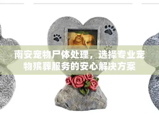 南安宠物尸体处理，选择专业宠物殡葬服务的安心解决方案