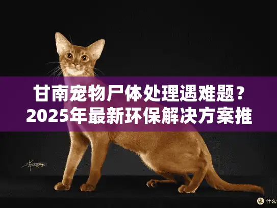 甘南宠物尸体处理遇难题？2025年最新环保解决方案推荐