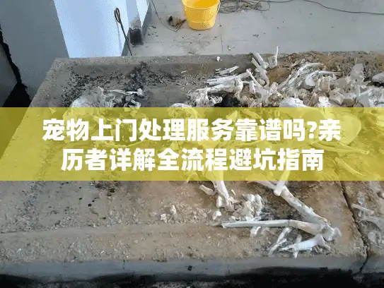 宠物上门处理服务靠谱吗?亲历者详解全流程避坑指南