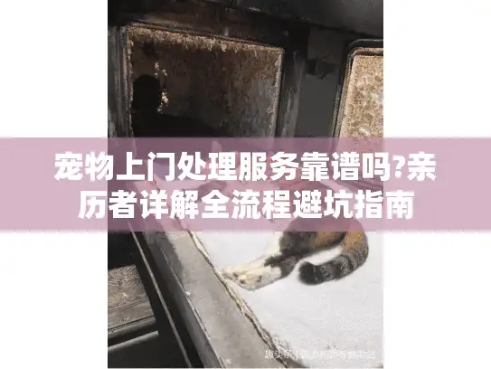 宠物上门处理服务靠谱吗?亲历者详解全流程避坑指南