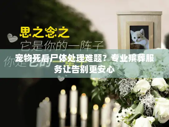 宠物死后尸体处理难题？专业殡葬服务让告别更安心