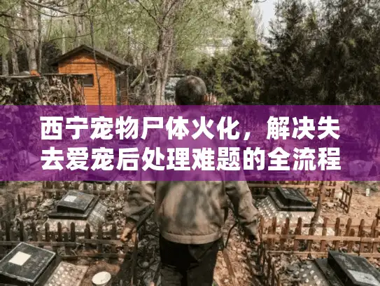 西宁宠物尸体火化，解决失去爱宠后处理难题的全流程指南