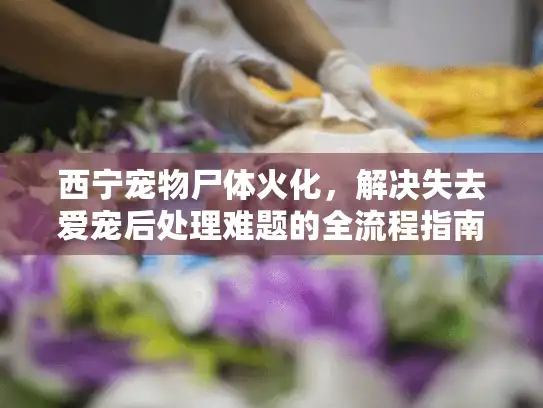 西宁宠物尸体火化，解决失去爱宠后处理难题的全流程指南