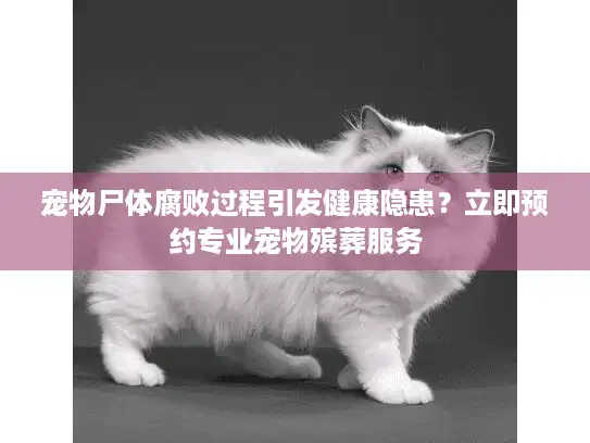 宠物尸体腐败过程引发健康隐患？立即预约专业宠物殡葬服务