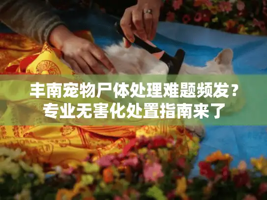 丰南宠物尸体处理难题频发？专业无害化处置指南来了