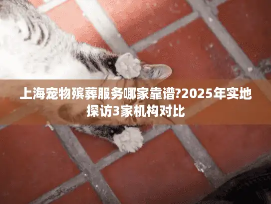 上海宠物殡葬服务哪家靠谱?2025年实地探访3家机构对比