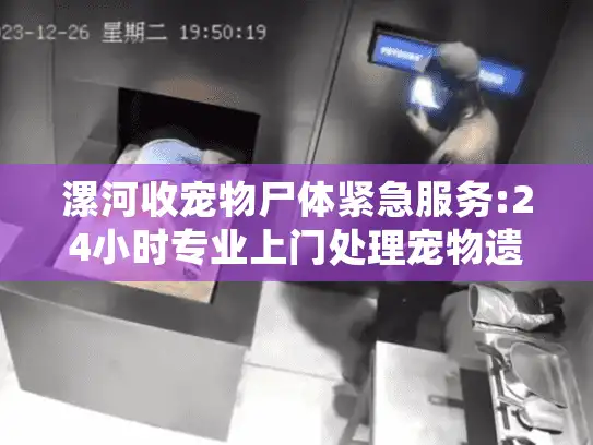 漯河收宠物尸体紧急服务:24小时专业上门处理宠物遗体告别仪式